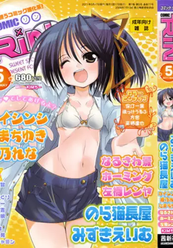 COMIC RiN 2011-05