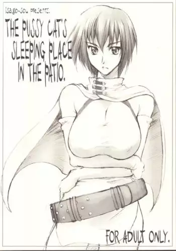 (ComiComi5) [Sago-Jou (Seura Isago)] The Pussy Cat's Sleeping Place in the Patio. (Thunder Claps)