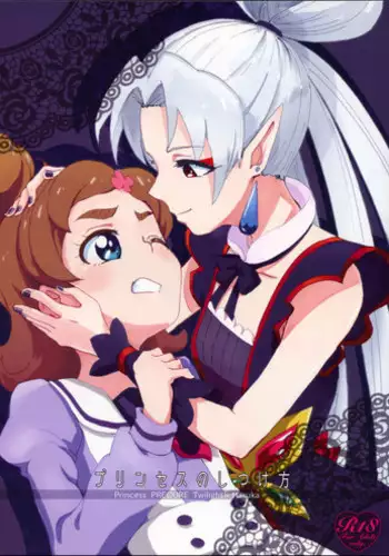 (Rainbow Flavor 13) [Yukirinrin! (Oyu)] Princess no Shitsukekata | Princess Training (Go! Princess PreCure) [English] [Goggled Anon]