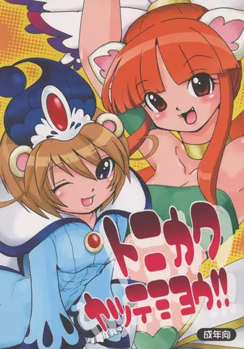 (C69) [URAN-FACTORY (URAN)] Tonikaku Yattemiyou! (Fushigiboshi no Futagohime)